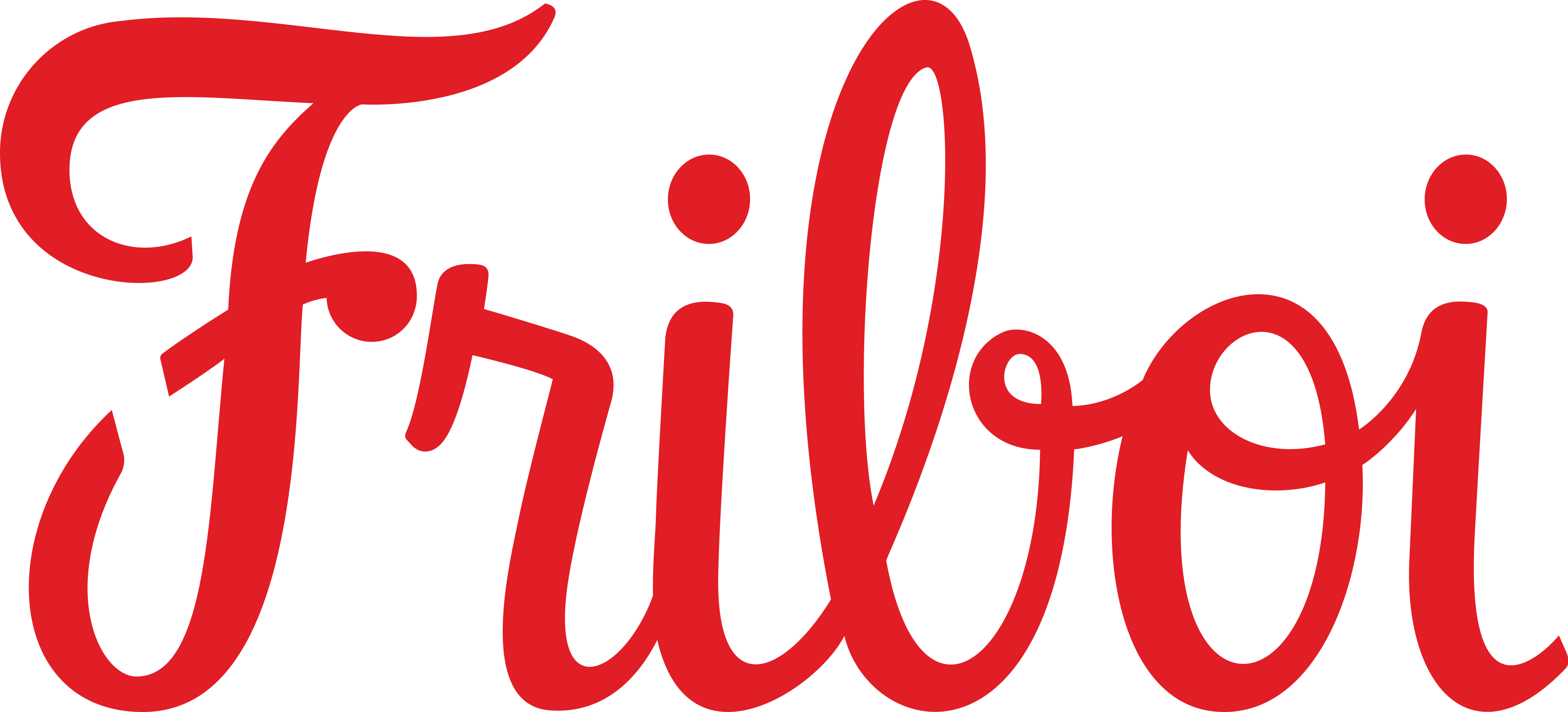 logo Friboi