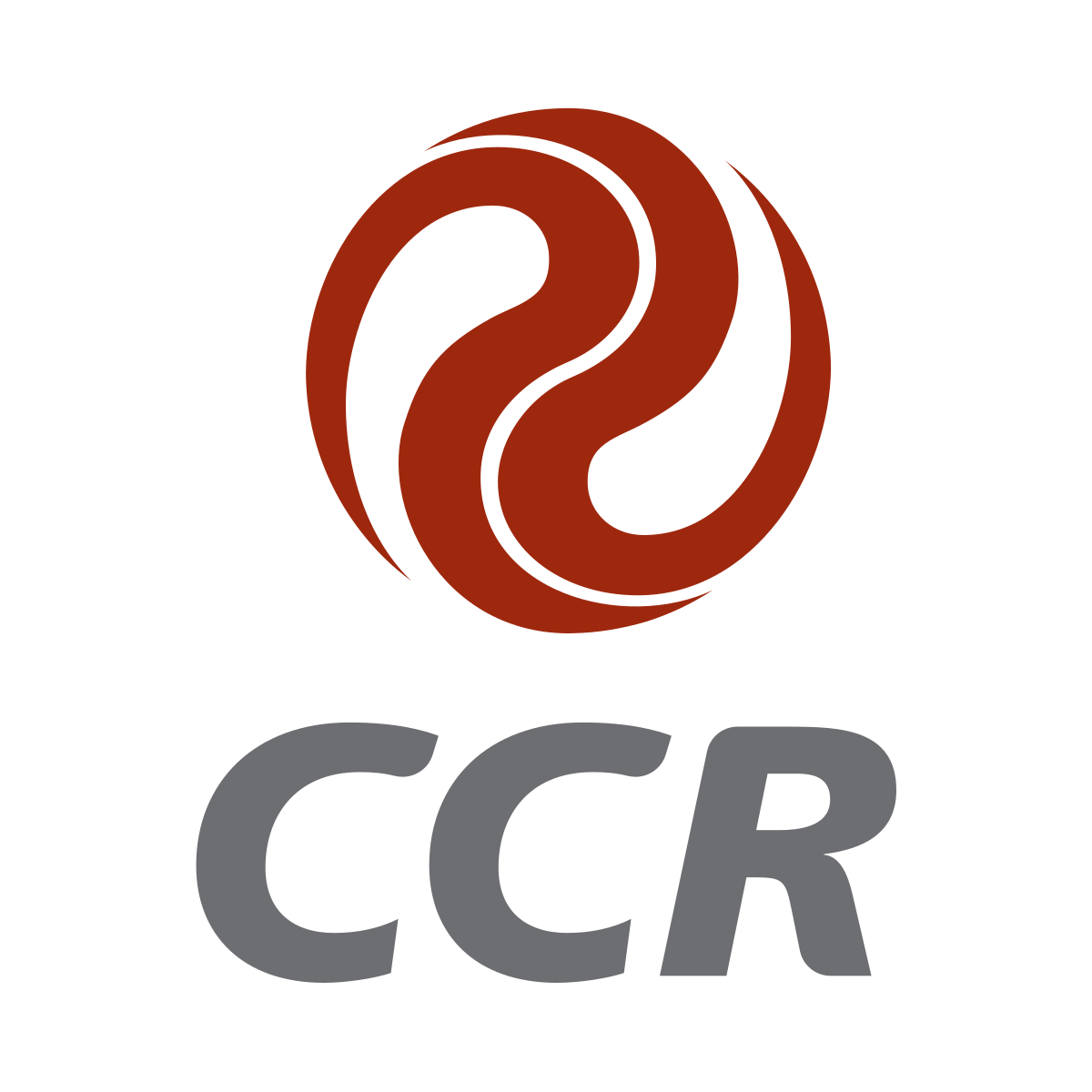 logo Instituto CCR