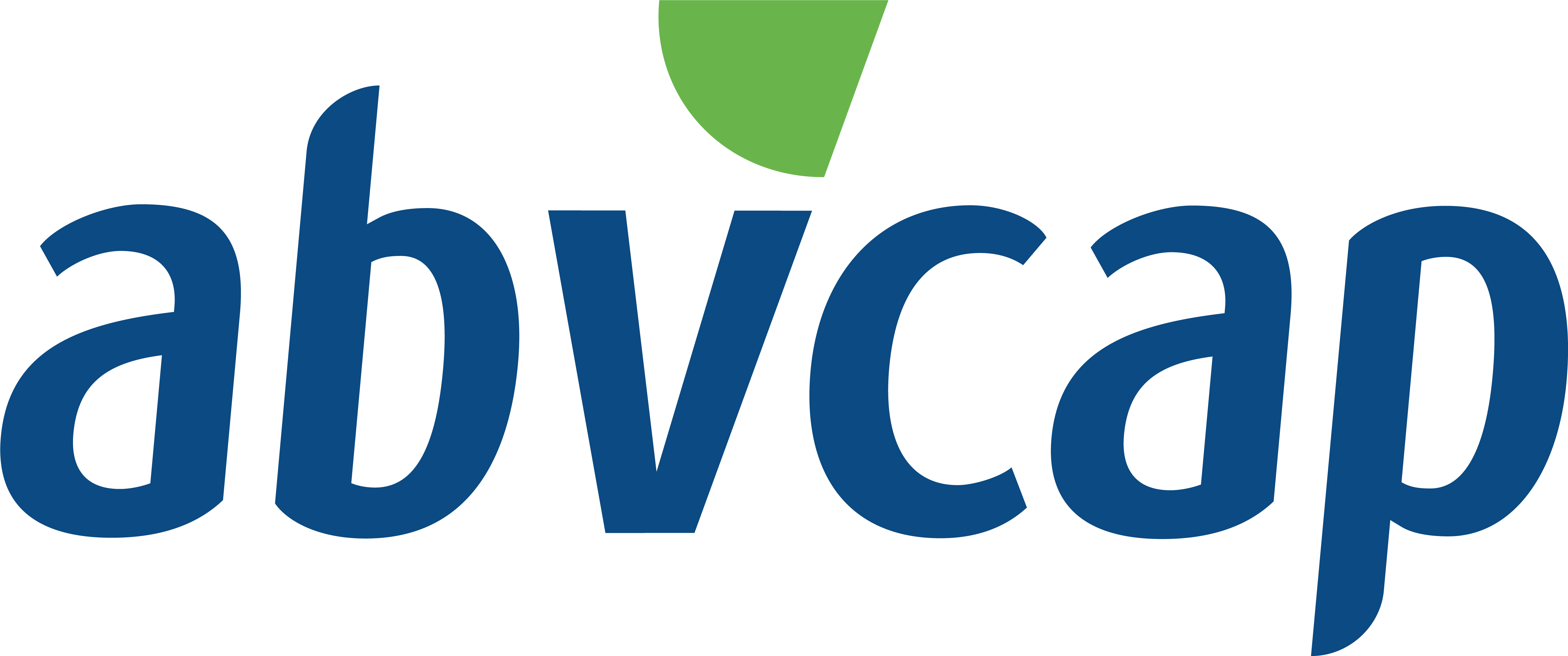 logo ABVCAP