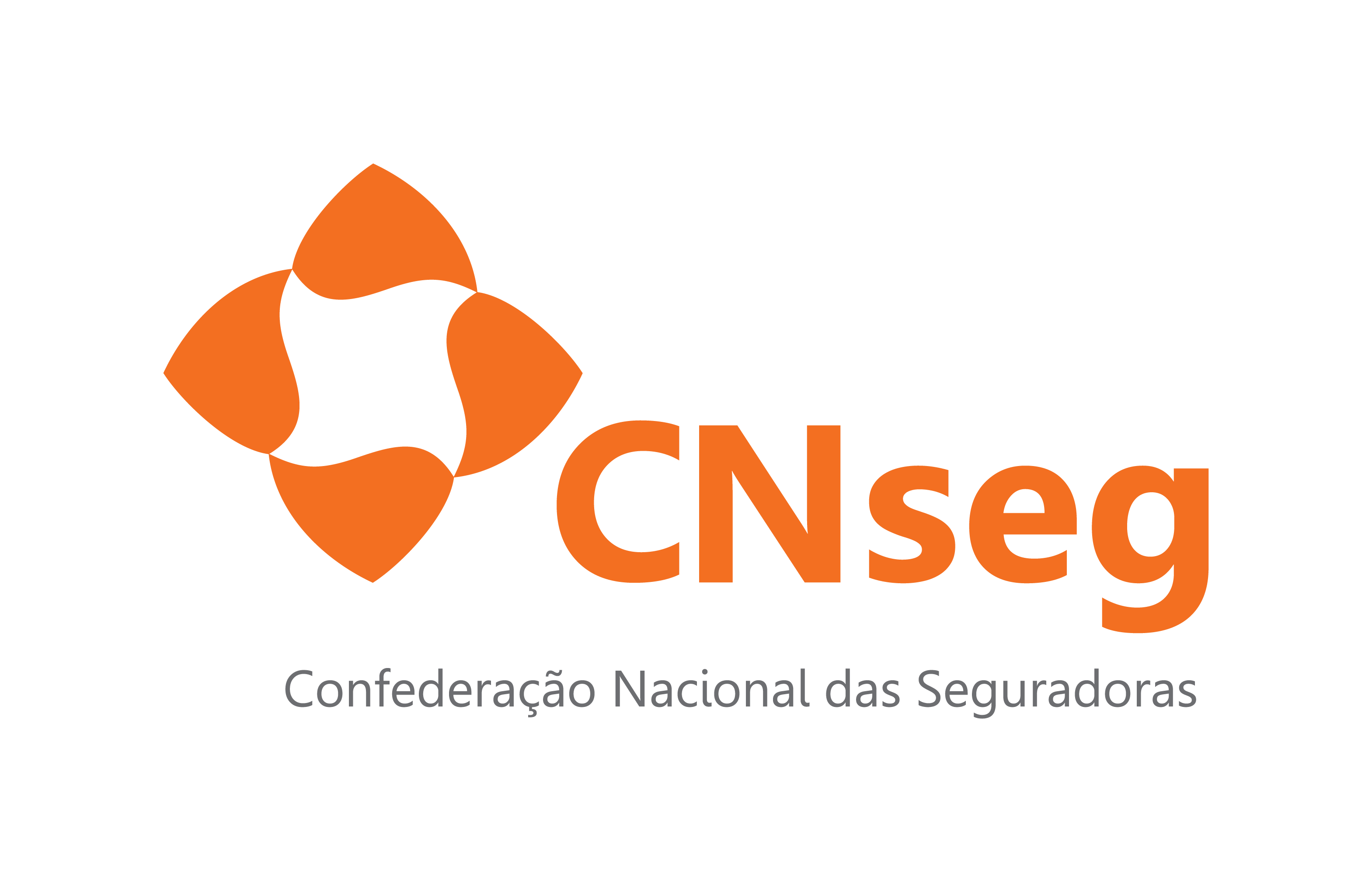 CNseg