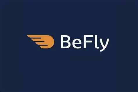 logo Befly 